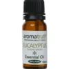 Aromatruth Essential Oil - Eucalyptus 10ml