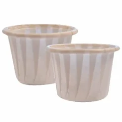 Beauty Express Disposable Tinting Cups 28ml, Pack of 250
