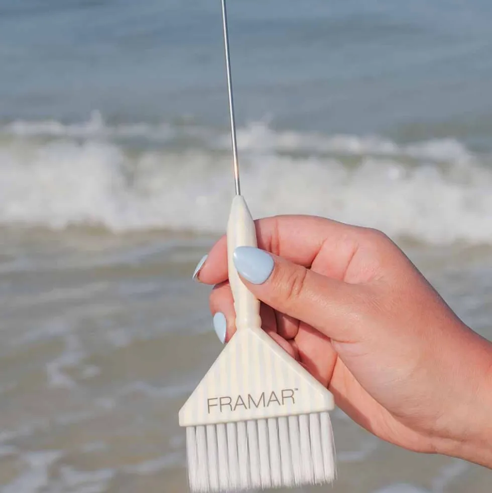 Framar Beach Bum Big Daddy PinTail Brush set, Pack of 2