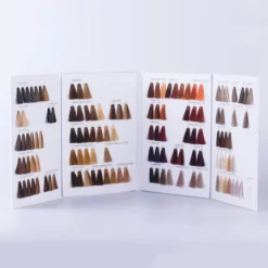 Kemon Compact Colour Chart 020 for Export