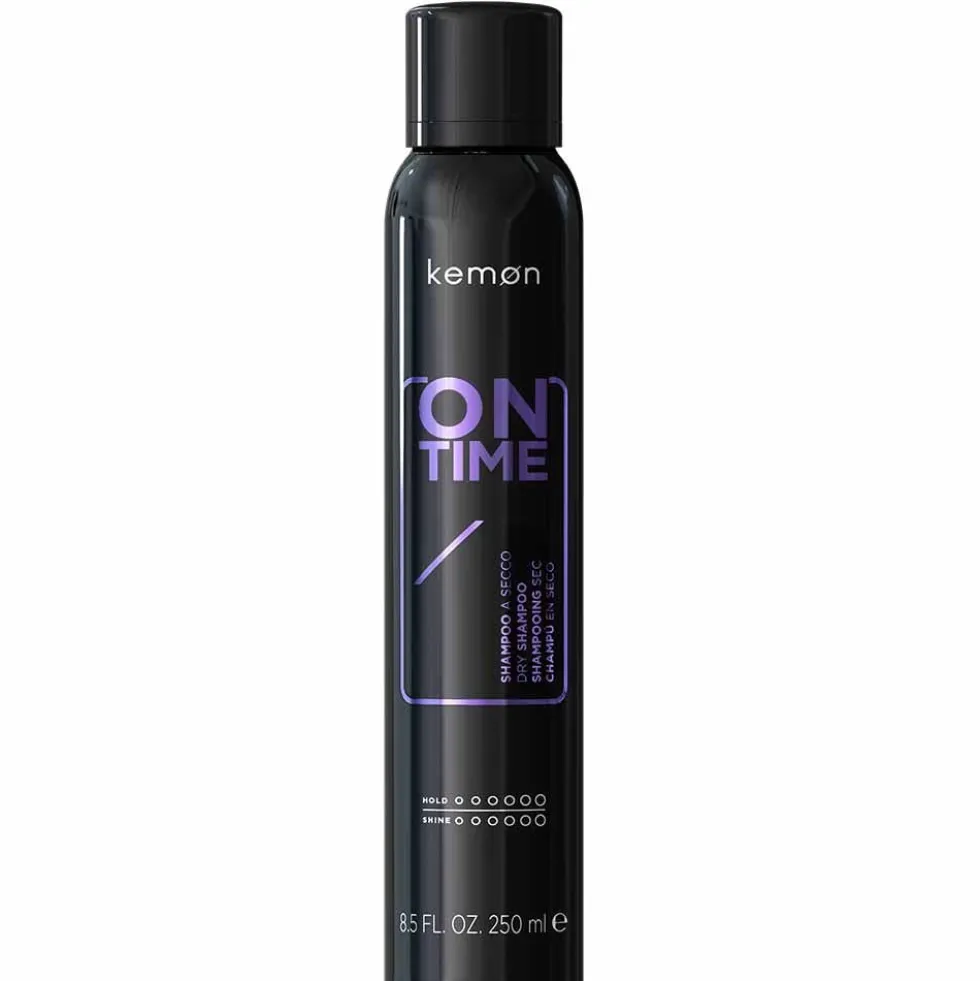 Kemon Styling On Time Dry Shampoo 250ml