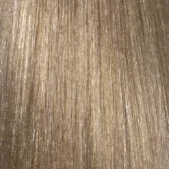 L'Oréal Professionnel INOA Permanent Hair Colour - 10.1 Lightest Natural Ash Blonde 60ml