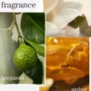 Pureology Strength Cure Dream Healer Serum 100ml
