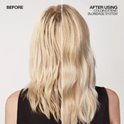Redken Color Extend Blondage Conditioner 300ml