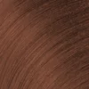 Redken Color Gels Lacquers Permanent Hair Colour 4CB Clove 60ml