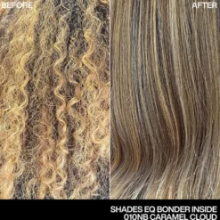 Redken Shades EQ Bonder Inside Demi Permanent Hair Colour 06N Moroccan Sand 60ml