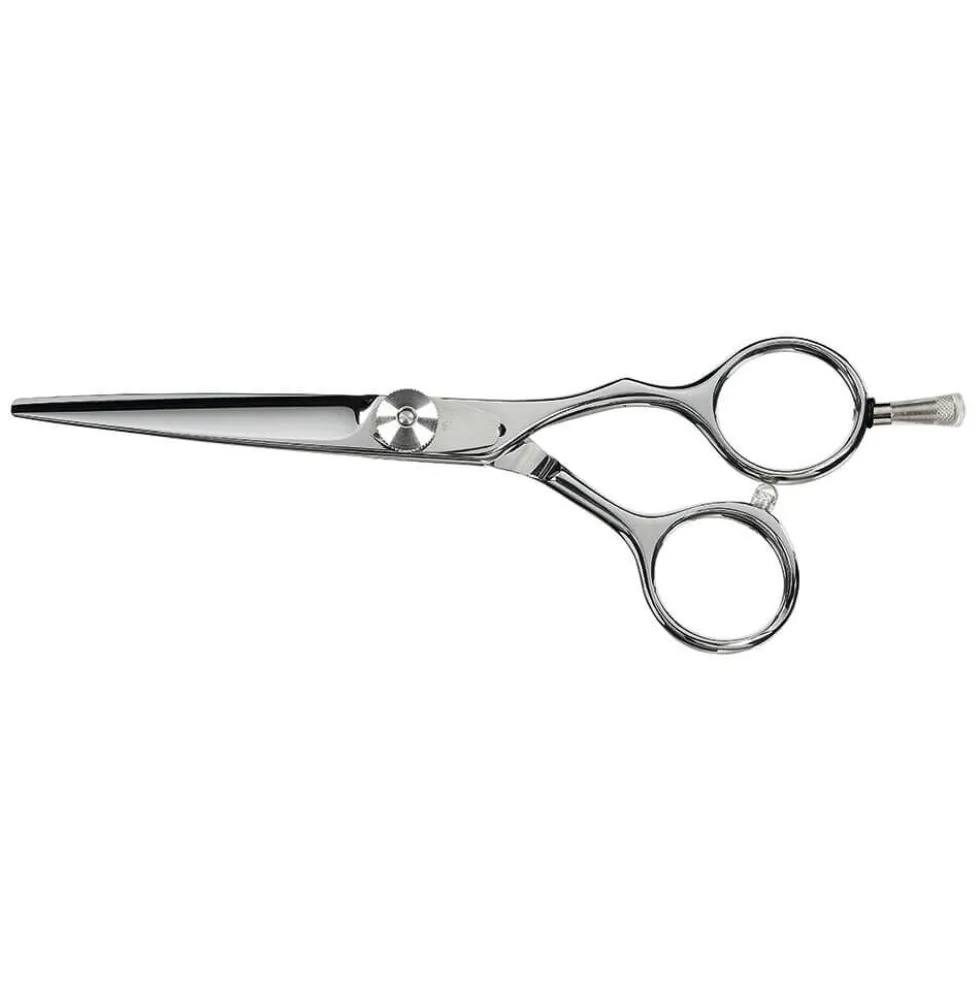 Saiza Scissors Tarantula 5.5 inch