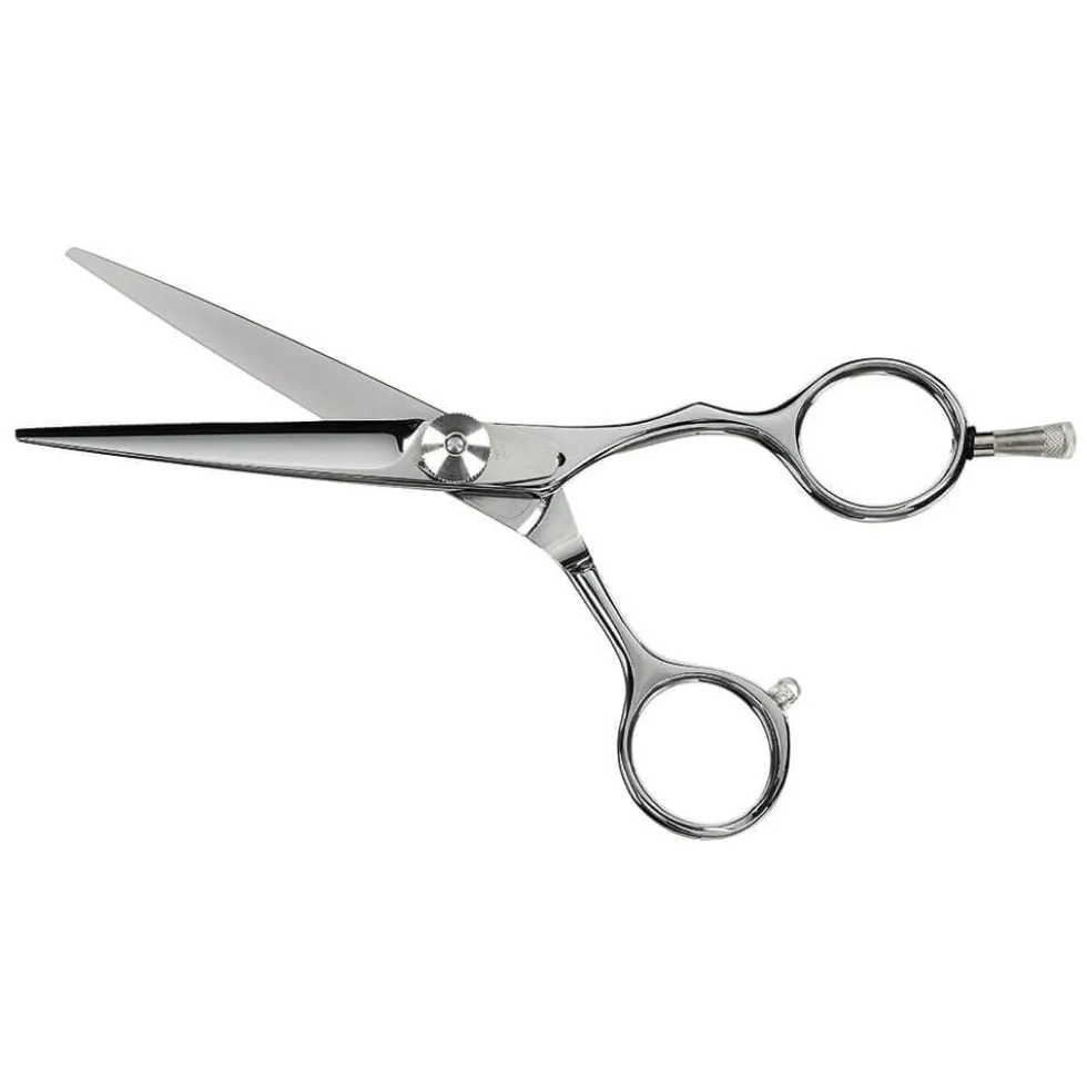 Saiza Scissors Tarantula 5.5 inch