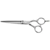 Saiza Scissors Tarantula 6 inch
