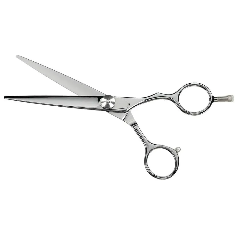 Saiza Scissors Tarantula 6 inch