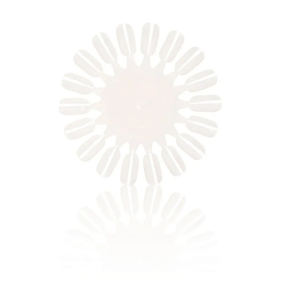Salon Services Unpainted Colour Wheels Pack of 5