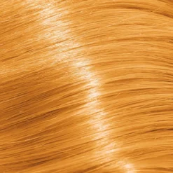 Schwarzkopf Professional Igora Royal Permanent Hair Colour - 6-0 Natural Dark Blonde 60ml