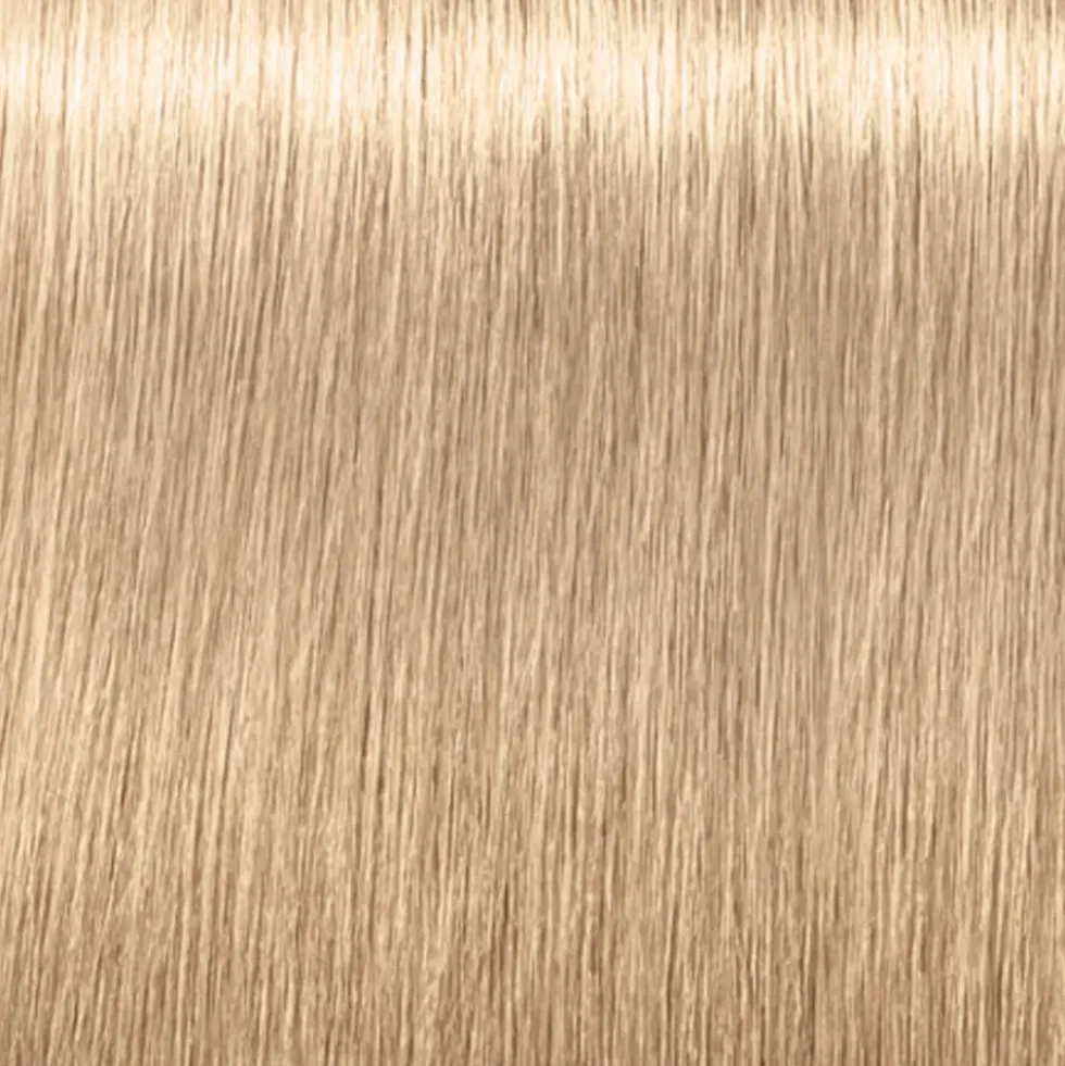 Schwarzkopf Professional Igora Royal Highlifts Permanent Hair Colour - 12-1 Special Blonde Cendré 60ml