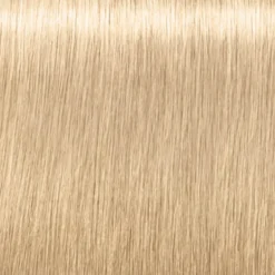 Schwarzkopf Professional Igora Royal Highlifts Permanent Hair Colour - 12-1 Special Blonde Cendré 60ml