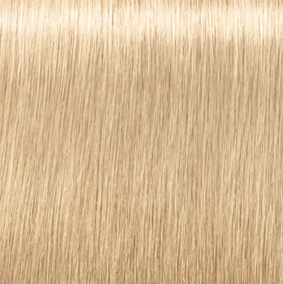 Schwarzkopf Professional Igora Royal Highlifts Permanent Hair Colour - 12-1 Special Blonde Cendré 60ml