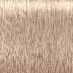 Schwarzkopf Professional Igora Royal Highlifts Permanent Hair Colour - 12-1 Special Blonde Cendré 60ml