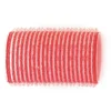 Sibel Hook & Loop Roller Red 36mm, Pack of 12
