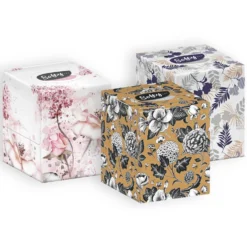 Softy 3-Ply Facial Tissues, Pack of 56